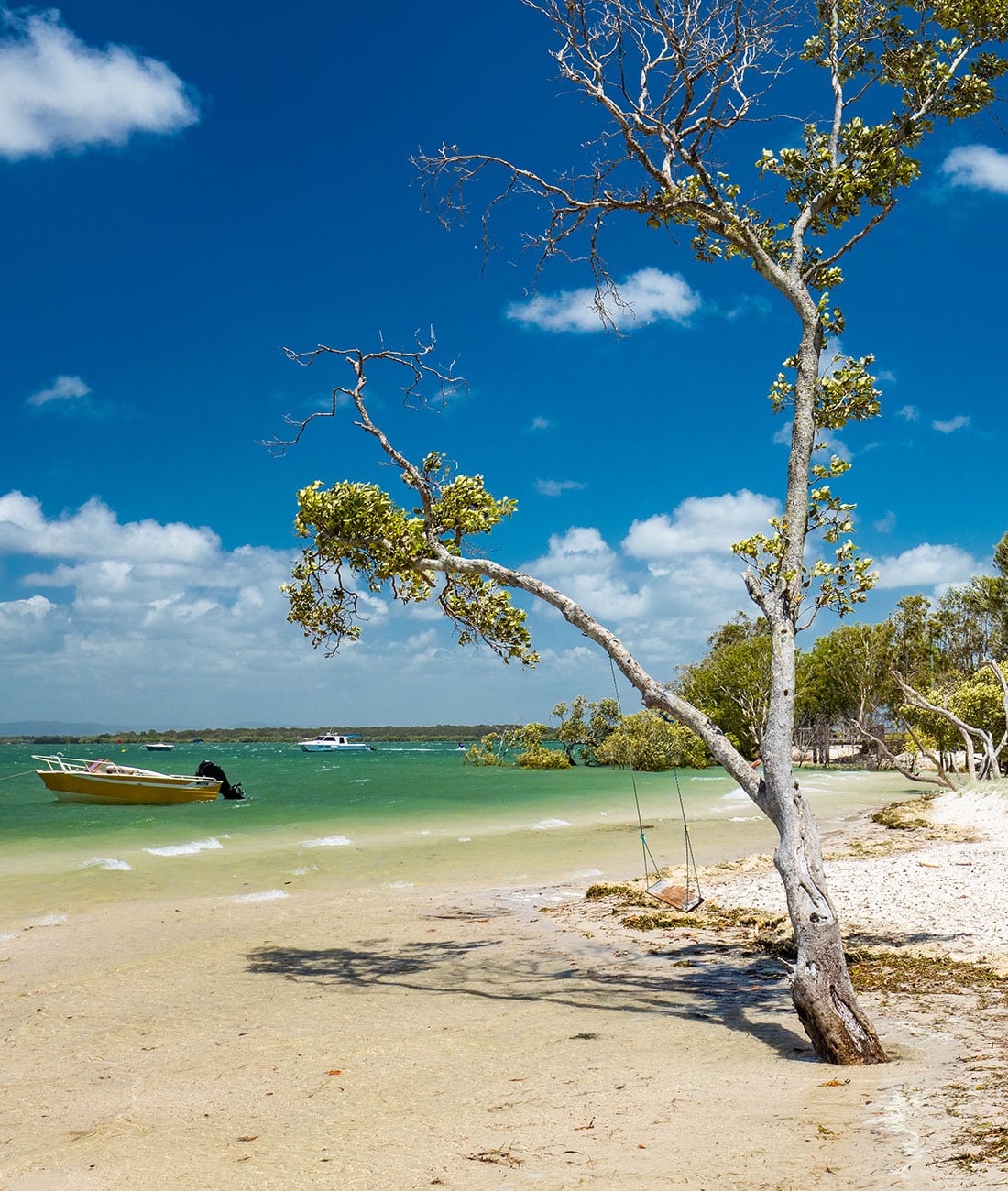 Small boat anchored near a sandy beach and coastal trees during a day trip to Bowen QLD.