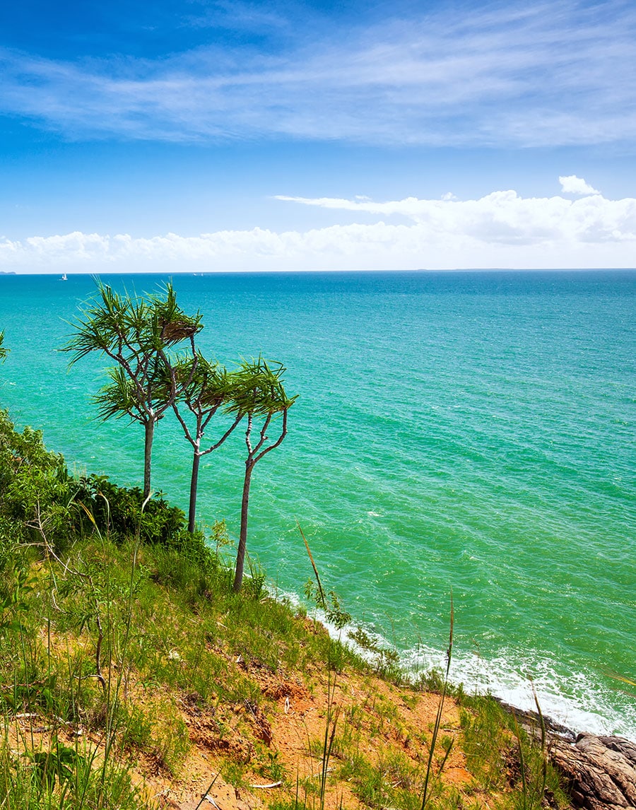 A family walking along the shoreline at Airlie Beach during a day trip from Whitsundays accommodation.