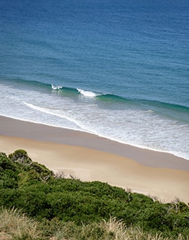 Pristine white sand shoreline and clear blue ocean waters at Dingo Beach in the Whitsundays.