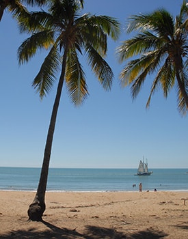 all palm trees overlooking a calm blue ocean with a sailboat near Dingo Beach.
