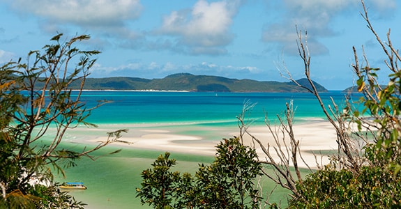 Tropical coastline and distant islands viewed through native bushland tracks in the Whitsundays region